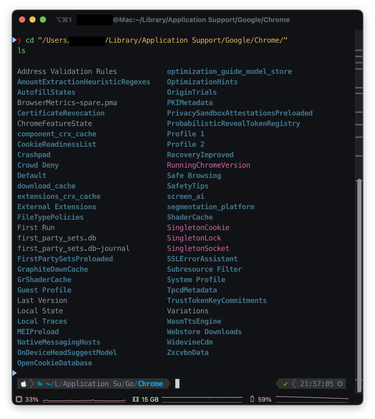 chrome_directory.png